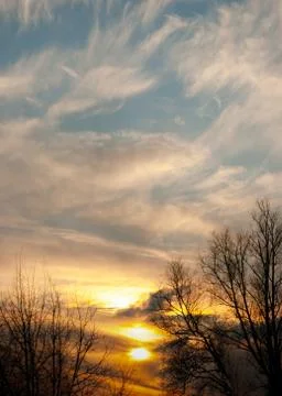 Treetops and sunset sky background 스톡 사진