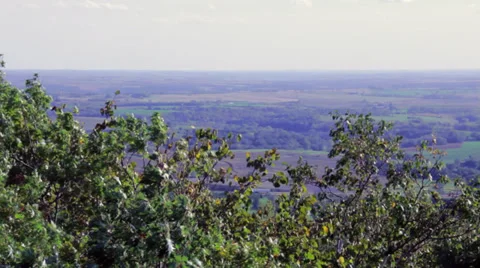 Treetops with distant farmland Stock Footage 31915310