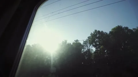 Treetops illuminated by the setting sun from the window of a traveling train. Stock-Footage 165741460