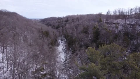 Treetops to rivers Stock Footage 228475622