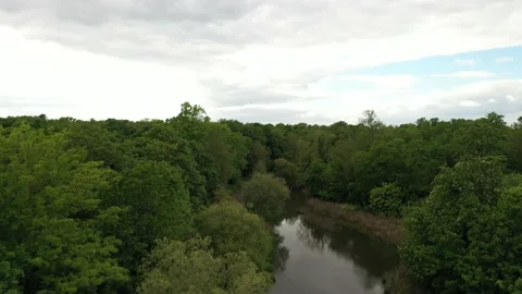 Treetops Texture With a streeam In epping forest, London, Aerial Shot Stock-Footage 155704090