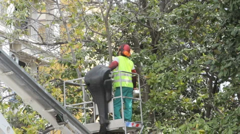 TreeTrimmer Stock Footage 3273926