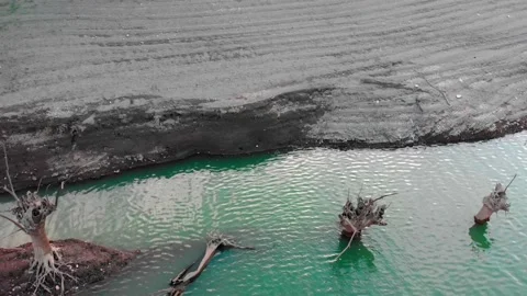 Treewater Video stock 208324460