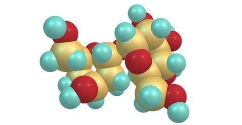 Trehalose molecular structure isolated on white Stock Illustration