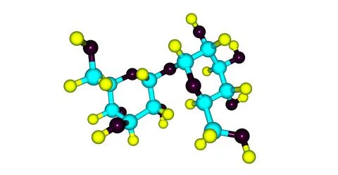Trehalose molecular structure isolated on white Stock Illustration