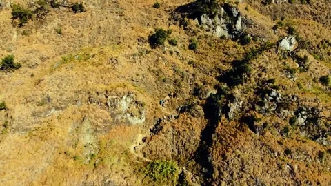 On the trek to Mount Rinjani Stock Footage 288838831