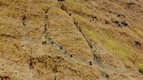 On the trek to Mount Rinjani Stock Footage 288839599