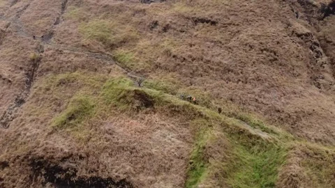 On the trek to Mount Rinjani Stock Footage 288839656