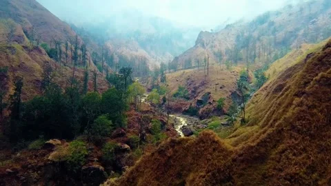 On the trek to Mount Rinjani Stock Footage 288839842