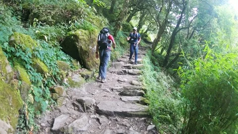 Trekker with backpack hiking through jungle, annapurna base camp nepal 4k Stock Footage 249037273