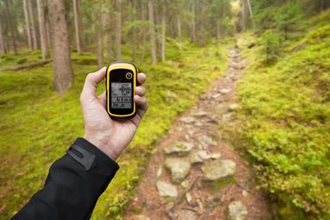 A trekker is finding the right position in the forest via gps in a cloudy aut Stock-Fotos