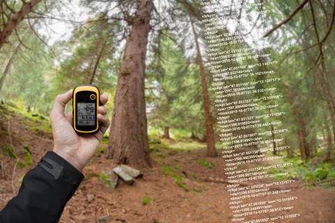 A trekker is finding the right position in the forest via gps in a cloudy autumn Stock Photos