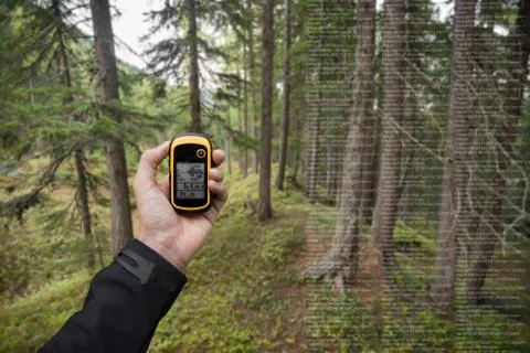 A trekker is finding the right position in the forest via gps in a cloudy autumn Stock Photos