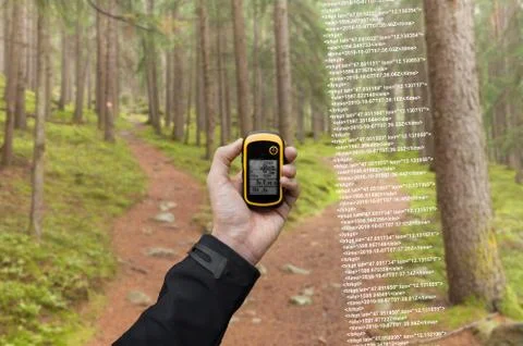 A trekker is finding the right position in the forest via gps in a cloudy autumn Stock Photos