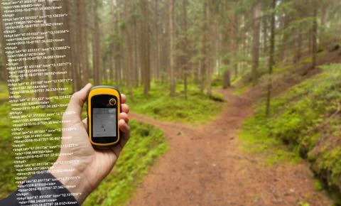 A trekker is finding the right position in the forest via gps in a cloudy autumn Stock Photos