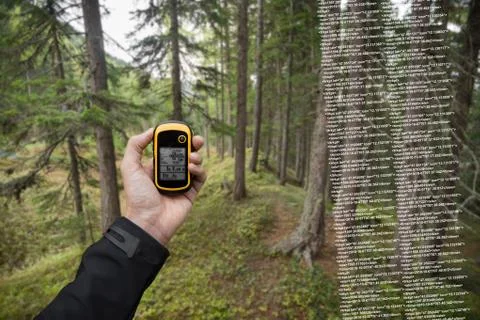 A trekker is finding the right position in the forest via gps in a cloudy autumn Stock Photos