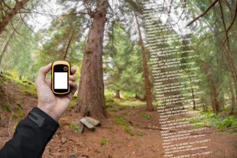 A trekker is finding the right position in the forest via gps in a cloudy a.. Stock Photos