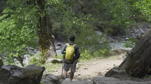 A trekker is passing through a dense forest in a remote region Video stock 280266182