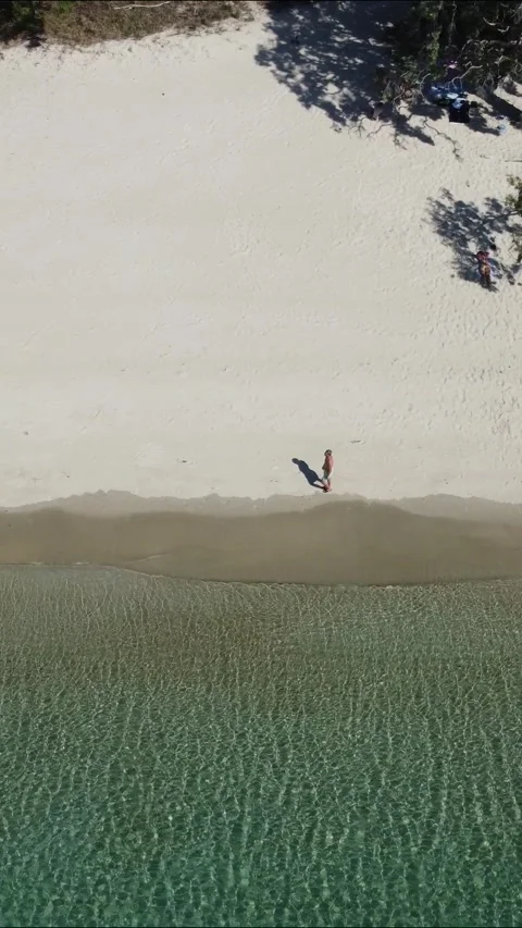 Trekker Scrutinizing a Desolate Australian Beach Environment in Vertical Video Stock Footage 276633799