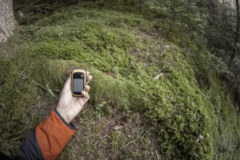 A trekker using gps among the forest in a cloudy day Stock Photos