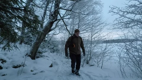 Trekker walking under a tree at snowy lakeside Stock Footage 146729090
