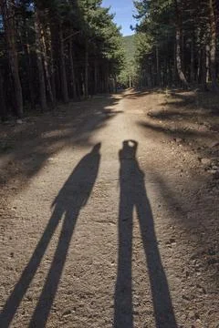 Trekkers shadow visible over track ground Fotos Stock