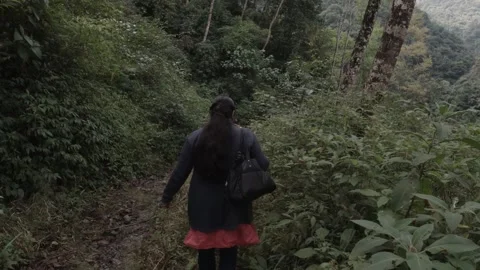Trekkers trekking through the dense rainforest of Himalayan region of India Stock Footage 165618651