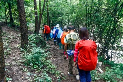 Trekkers walk in the forest Stock Photos