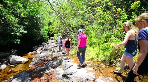 Trekkers walking on the edge of a small rapid in Canaima national park Stock Footage 58630860