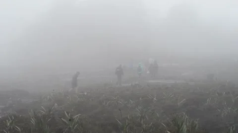 Trekkers walking in the midst of clouds Stock Footage 58630815