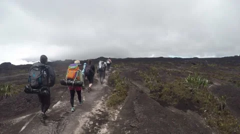Trekkers walking in the midst of clouds, mist and fo Stock Footage 58647044