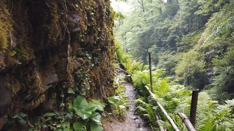 Trekking along a mountain trail Stock Footage 110594706