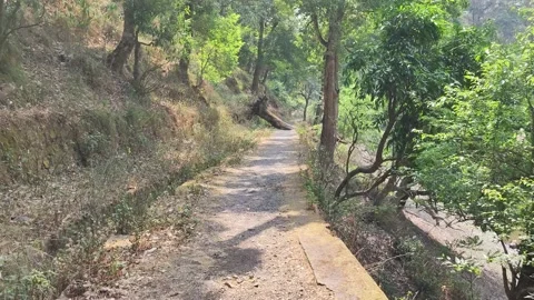 Trekking along mountains Video stock 191293684