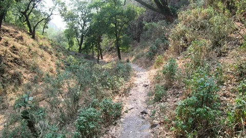 Trekking along mountains Vídeo Stock 191391394