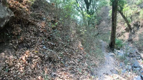 Trekking along mountains Stock Footage 191391410