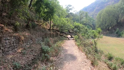 Trekking along mountains Vídeo Stock 191391502