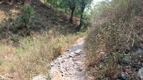 Trekking along mountains Vídeo Stock 191391576