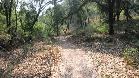 Trekking along mountains Vídeo Stock 191391586