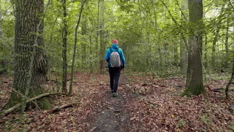 Trekking along a path in the woods. The guy is wearing a blue backpack with a Video stock 214445992