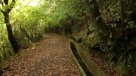 Trekking along the so called Levada on the island of Madeira Stock Footage 58628473