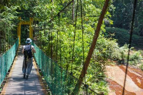 Trekking in Borneo rainforest Stock Photos