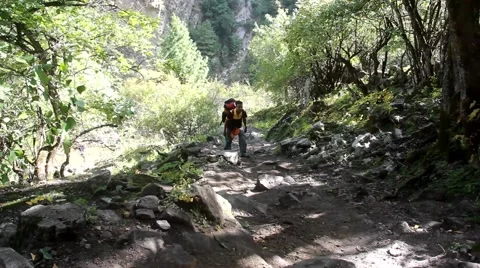 Trekking With Group Tourists Stock Footage 42842881