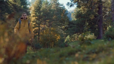 Trekking man with backpack in autumn woods Stock Footage 102531687