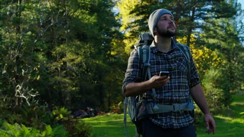 Trekking man with a backpack on the forest of Altai Stock Footage 201424323