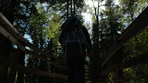 Trekking man with backpack in wild forest of Altai Stock Footage 201402921