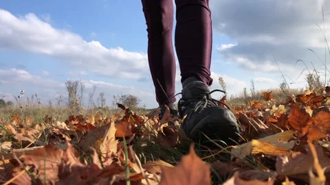 Trekking in nature 動画素材 135501141