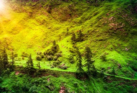 Trekking in Nepal Stock Photos