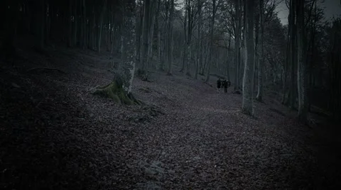 Trekking by night on forest Stock Footage 62651608