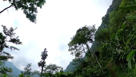 Trekking path to the mountain Video stock 278963047