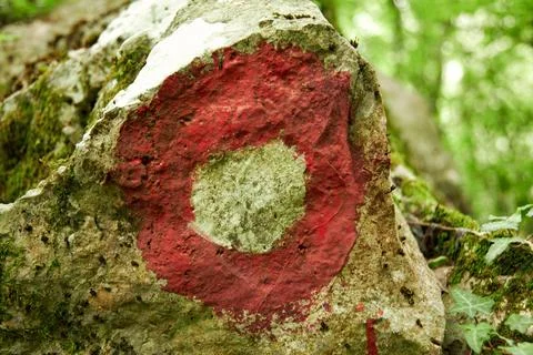 Trekking path red circle sign on the stone in the forest Stock Photos
